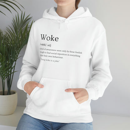 Definition of Woke Hoodie